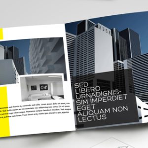 Steel Processing Services